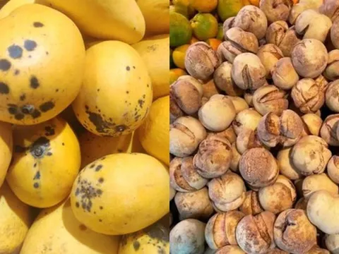 Độc lạ thực phẩm khiến chị em giật mình: Xoài da báo, chuối hạt mè còn cả cá bơi ngửa, không biết đâu mà lần!