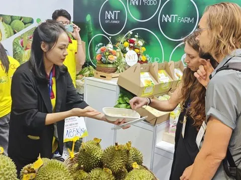 Sầu riêng "vua" mất vị thế?