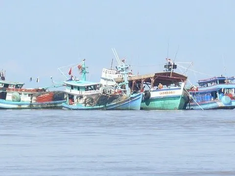 Cà Mau: 536 tỷ đồng đầu tư dự án phát triển thủy sản bền vững
