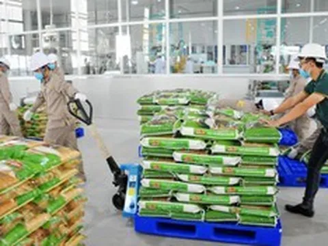 Chi phí tăng cao bào mòn lợi nhuận của Vinaseed