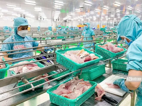 Xuất khẩu cá tra Việt Nam sang UAE rộng mở