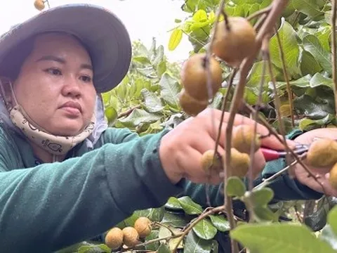 Trái cây của Việt Nam đã có mặt tại 60 thị trường trên thế giới