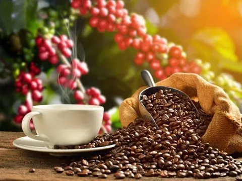 Giá cà phê tiếp tục tạo đỉnh lịch sử mới