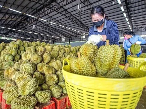 Số lượng cảnh báo với nông sản Việt Nam từ EU tăng bất thường