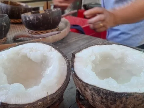 Loại dừa đắt nhất Việt Nam giá bao nhiêu?