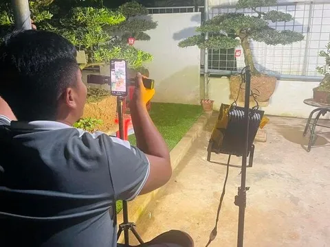 Nông dân thời 4.0: Livestream bán cây cảnh hàng ngày, đua hốt bạc mỗi tháng