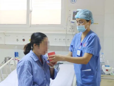 Quảng Ninh: Nhiều người nhập viện vì bị rắn độc cắn