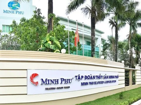 Thủy sản Minh Phú thoát lỗ