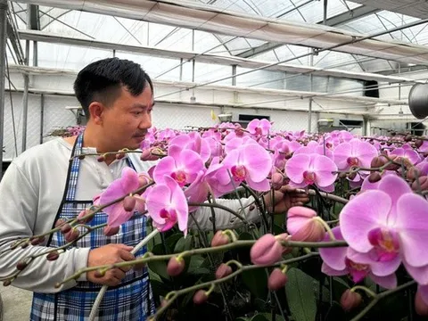 Thu tiền tỷ trên đất cát bạc màu