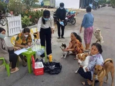 Chỉ đắp tỏi, lá me sau khi bị chó cắn, người đàn ông tử vong vì bệnh dại