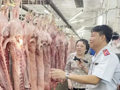 Thanh kiểm tra cơ sở giết mổ động vật trên cả nước