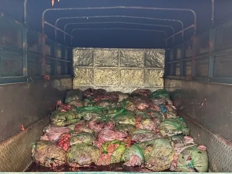 Rùng mình phát hiện hàng tấn nội tạng biến chất đang chờ tuồn ra thị trường