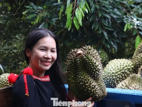 Phiên livestream sầu riêng có gì mà khách đổ xô mua hơn 60 tấn?