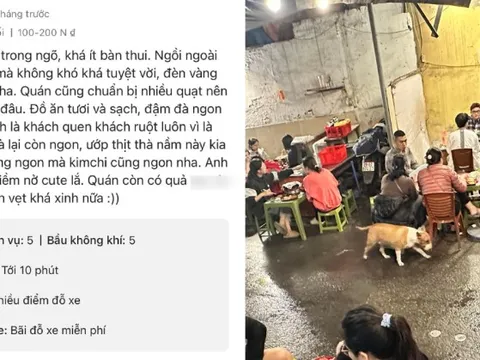 Thực hư quán nướng có Cậu Vàng trong game Phở Anh Hai được 5 sao tuyệt đối