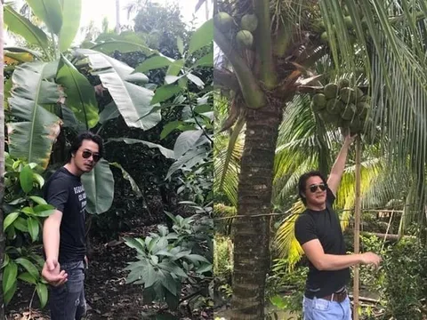 Tình thế đáng lo của nam tài tử Việt vỡ nợ 20 tỷ đồng