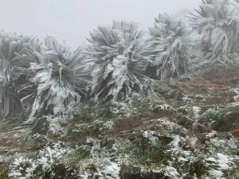 Dự báo thời tiết 8/1: Không khí lạnh tiếp tục tăng cường, miền Bắc rét đến khi nào?