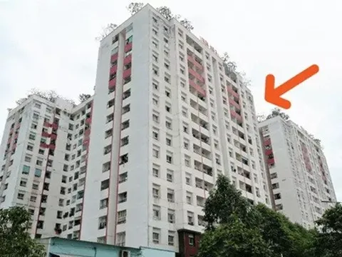 Kiến trúc sư 20 năm kinh nghiệm tiết lộ: Chọn tầng nào cũng được, nhưng đây mới là 'căn hộ vàng' để an cư