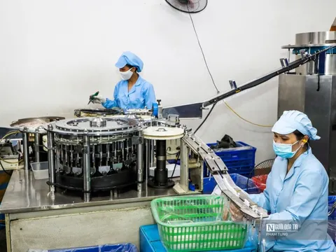 Tháng 1/2026 có gần 49.000 doanh nghiệp gia nhập thị trường, thu NSNN hơn 370.000 tỷ đồng