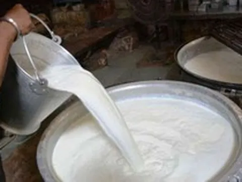 Đột kích một nhà máy, công an triệt phá đường dây sản xuất sữa giả, tịch thu hàng trăm lít hóa chất và máy trộn công nghiệp