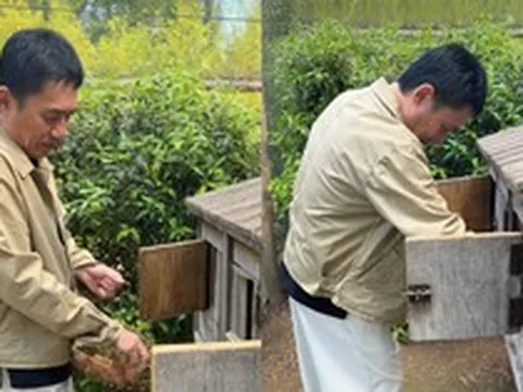 “Ông hoàng” điện ảnh Hồng Kông: U70 vẫn phong độ ngay cả khi nhặt trứng, lựa chọn “sống chậm” bên cạnh người bạn đời là tài nữ xinh đẹp