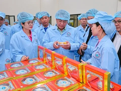 Đoàn Đại biểu cấp cao Viêng Chăn tham quan nhà máy yến sào SANVINEST Khánh Hòa